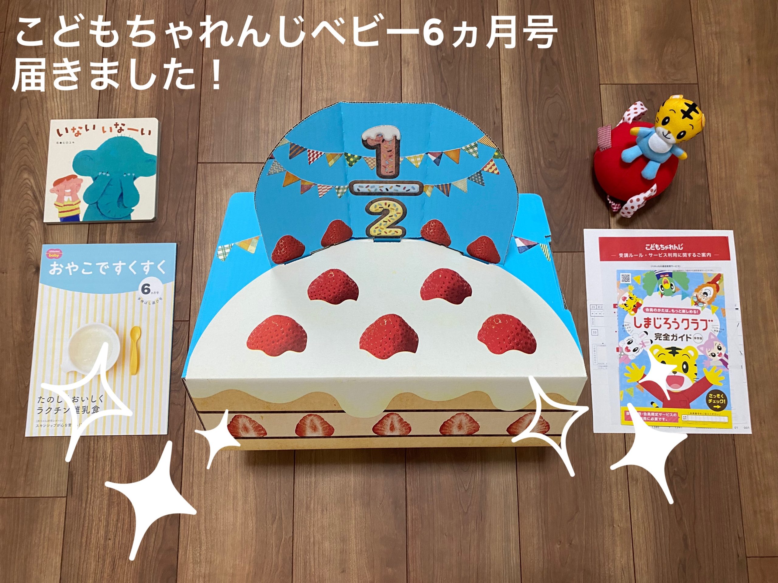 【6m】こどもちゃれんじベビー6ヵ月号「手伸ばし遊び号」が届きました！