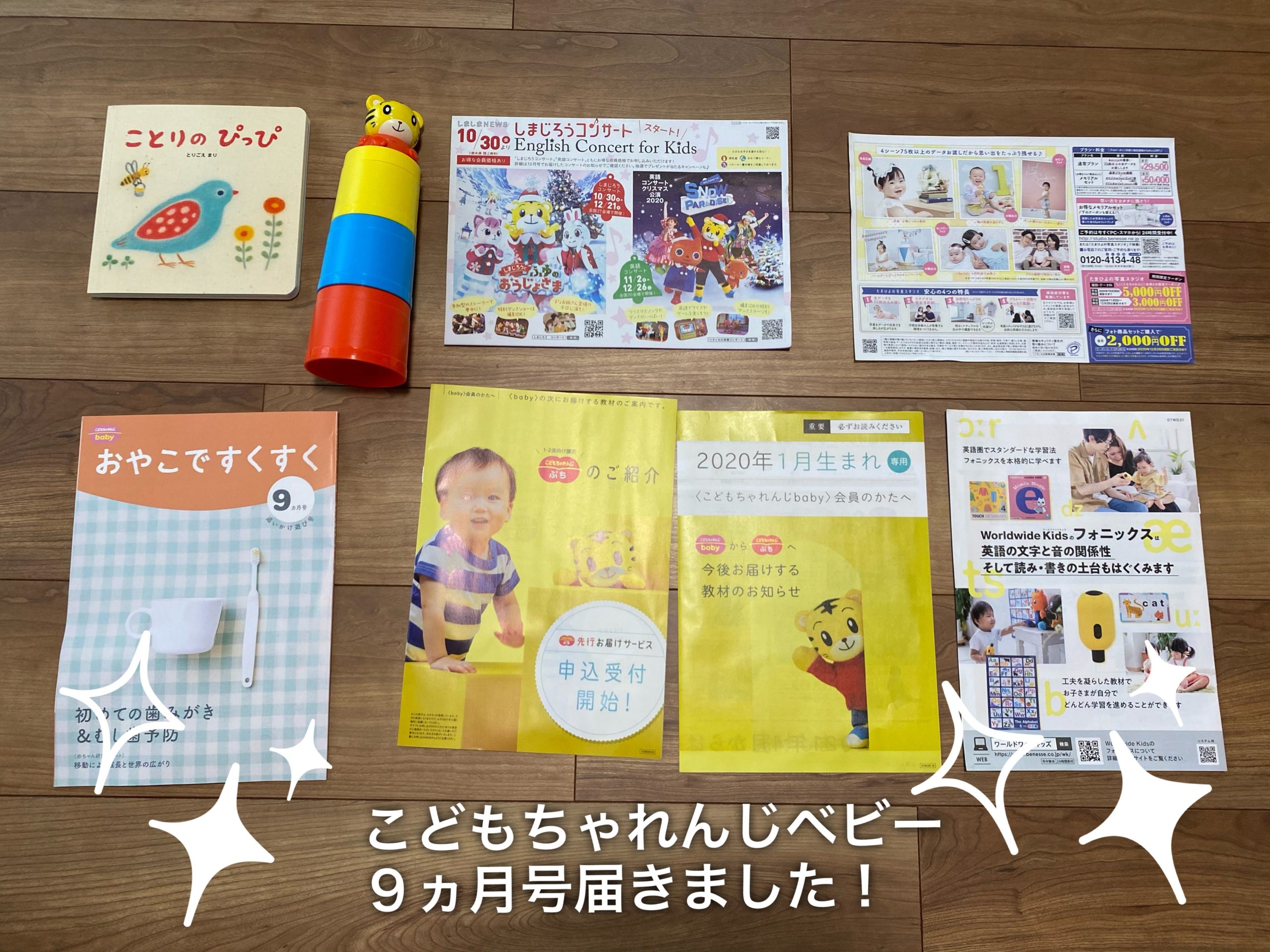 こどもちゃれんじベビー9ヵ月号「追いかけ遊び号」が届きました！