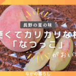 長野の夏の味！硬くてカリカリコリコリした桃「なつっこ」が美味しい