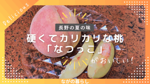 長野の夏の味！硬くてカリカリコリコリした桃「なつっこ」が美味しい
